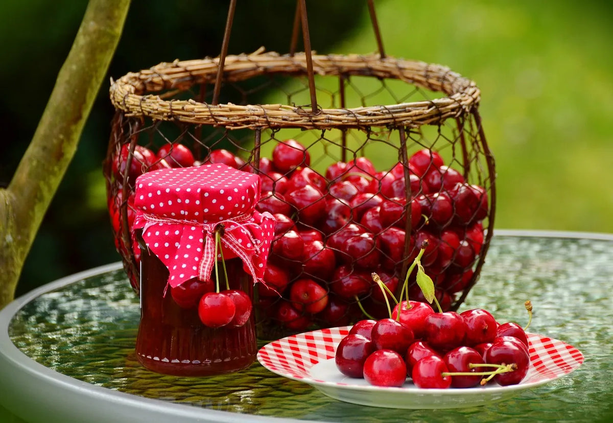 Premium Vegan Sour Cherry Jam