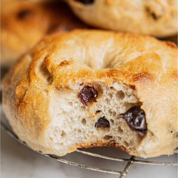 Cinnamon-Raisin Bagel